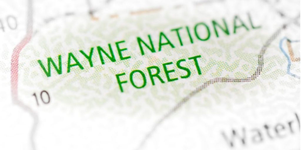 wayne national forest