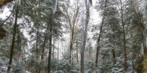 perfect winter hikes and trails