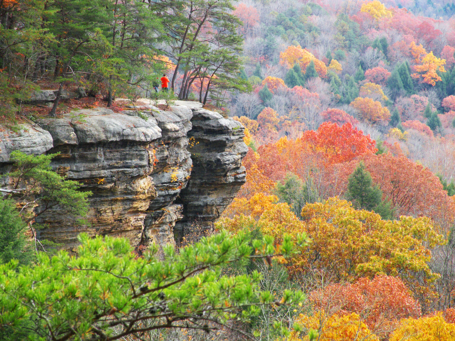 Fall Foliage Cut Above Cabins