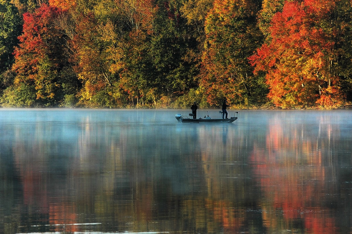 Fall Foilage Lake Logan