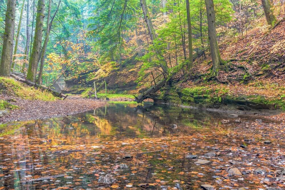 Immerse Yourself in a Hocking Hills Fall Getaway